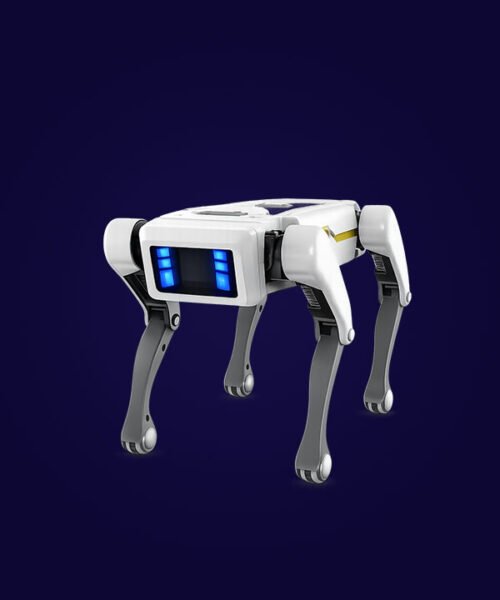 Helix Smart Walker