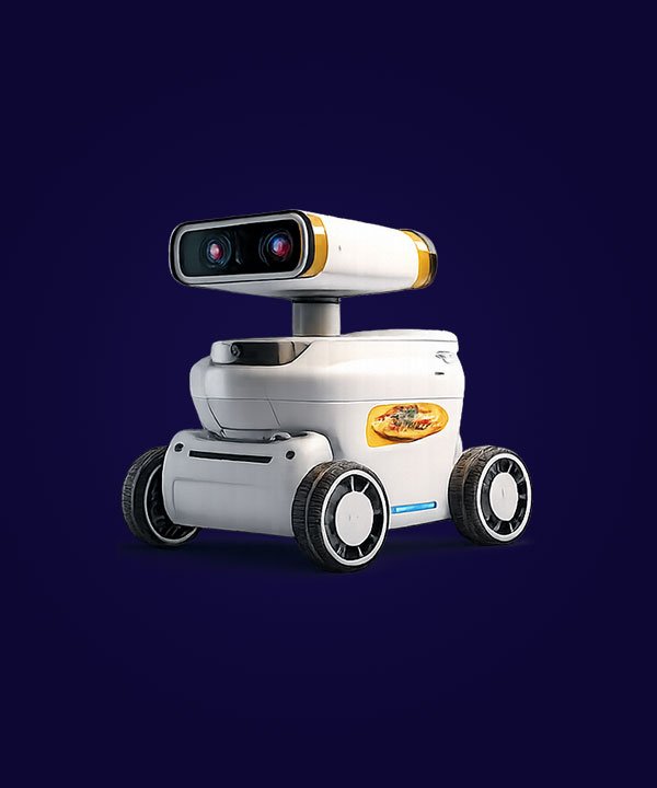 Intelligent Service Droid